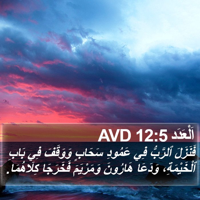 اَلْعَدَد 12:5 AVD Bible Study