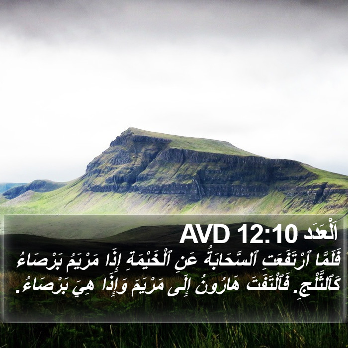 اَلْعَدَد 12:10 AVD Bible Study