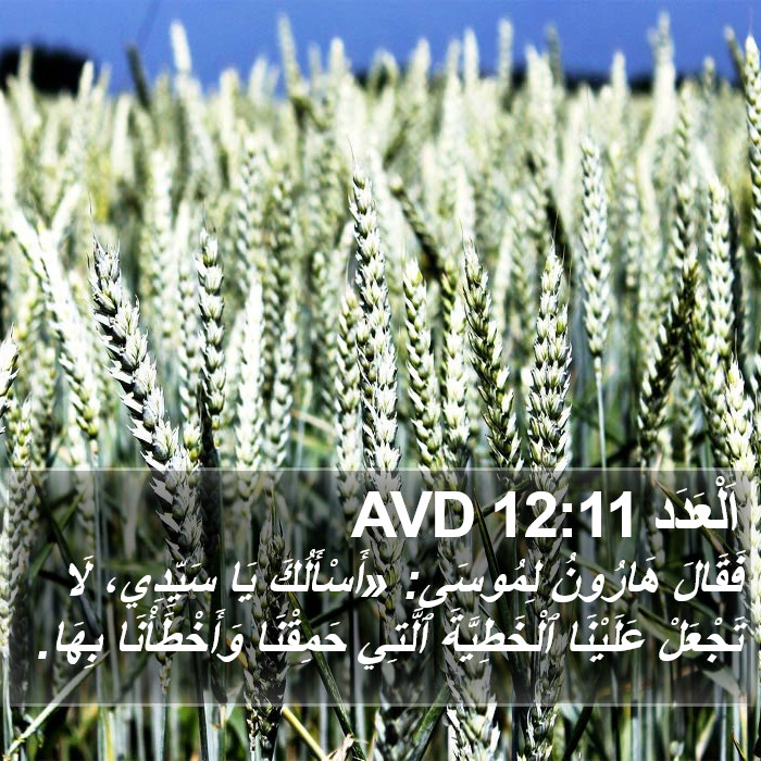 اَلْعَدَد 12:11 AVD Bible Study