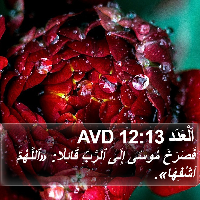 اَلْعَدَد 12:13 AVD Bible Study