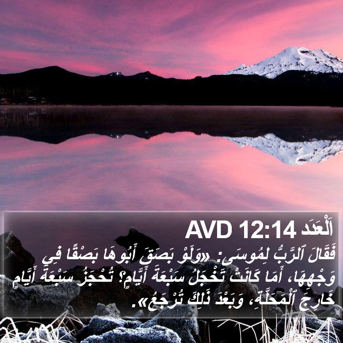 اَلْعَدَد 12:14 AVD Bible Study