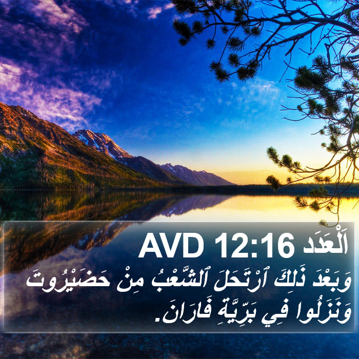 اَلْعَدَد 12:16 AVD Bible Study