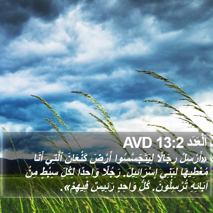 اَلْعَدَد 13:2 AVD Bible Study