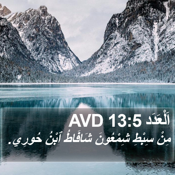 اَلْعَدَد 13:5 AVD Bible Study