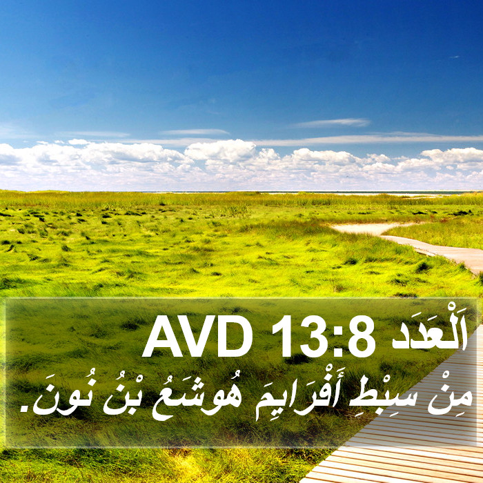 اَلْعَدَد 13:8 AVD Bible Study