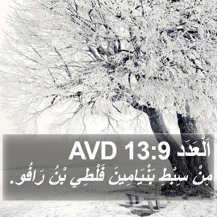 اَلْعَدَد 13:9 AVD Bible Study