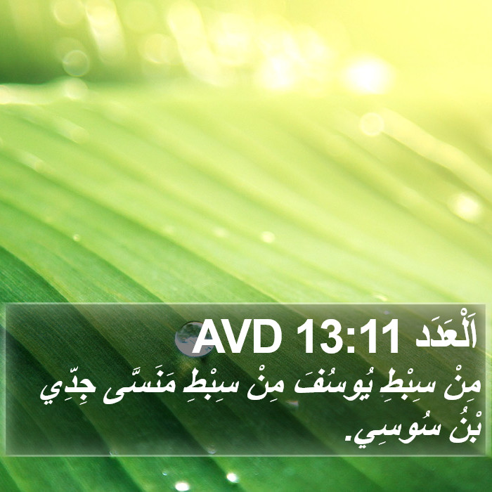 اَلْعَدَد 13:11 AVD Bible Study