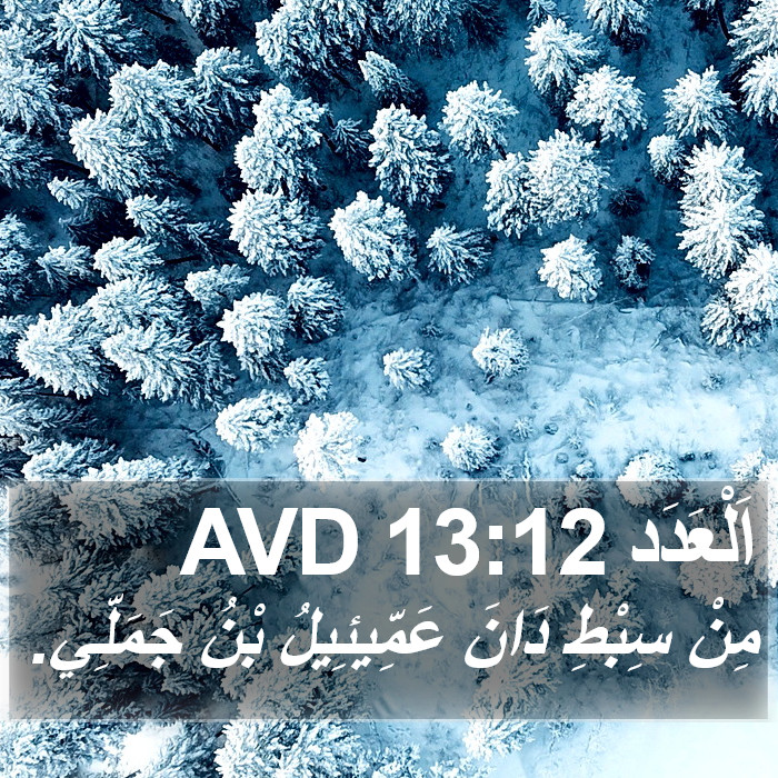 اَلْعَدَد 13:12 AVD Bible Study