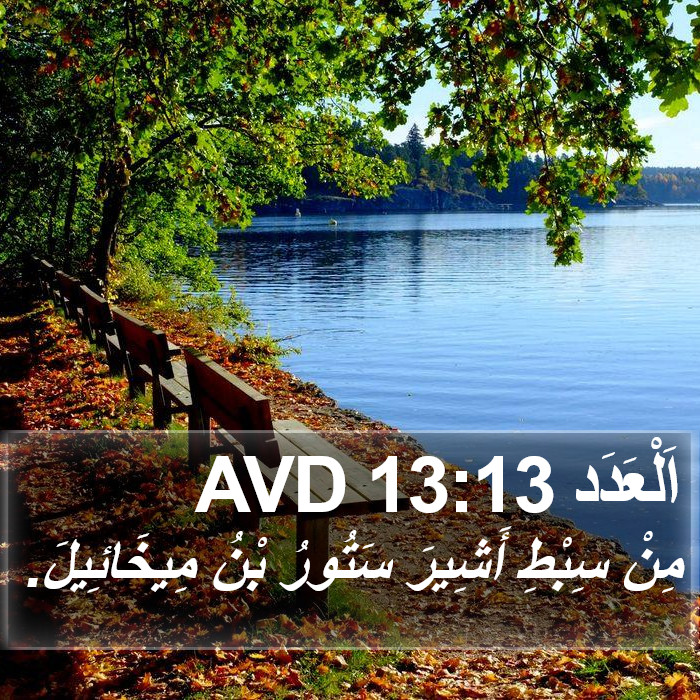 اَلْعَدَد 13:13 AVD Bible Study