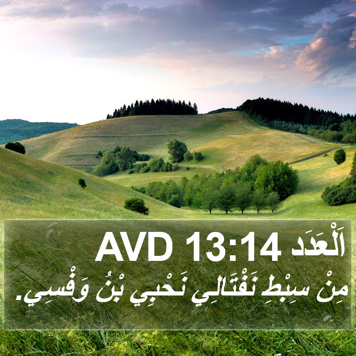 اَلْعَدَد 13:14 AVD Bible Study