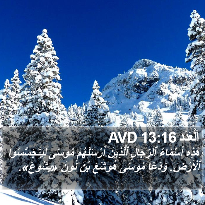 اَلْعَدَد 13:16 AVD Bible Study