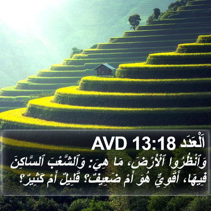 اَلْعَدَد 13:18 AVD Bible Study