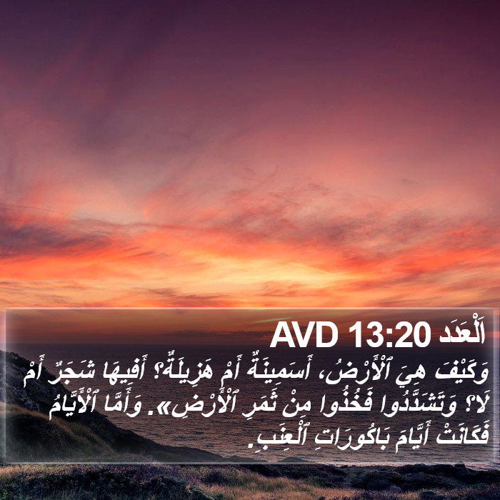 اَلْعَدَد 13:20 AVD Bible Study