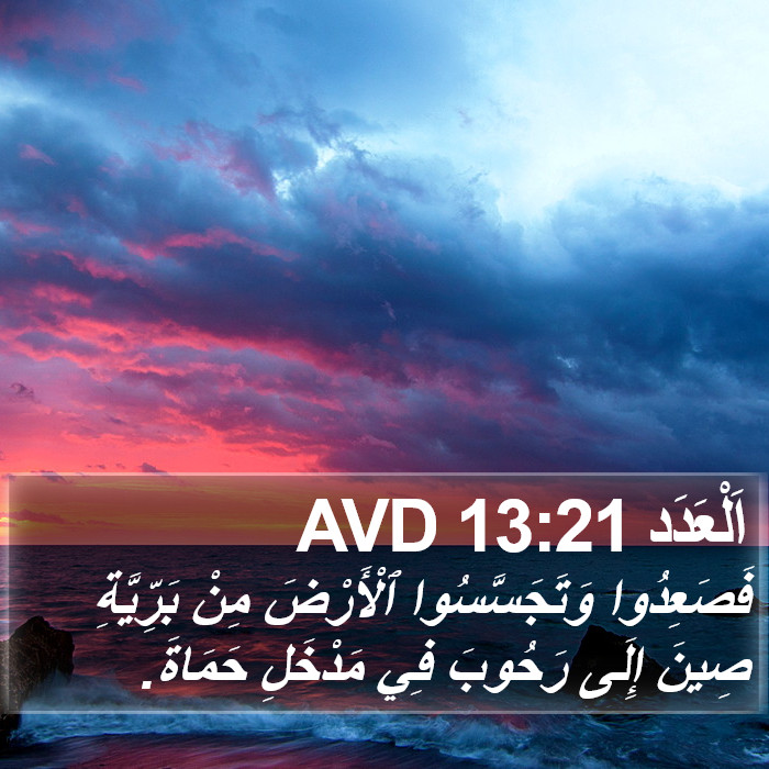 اَلْعَدَد 13:21 AVD Bible Study