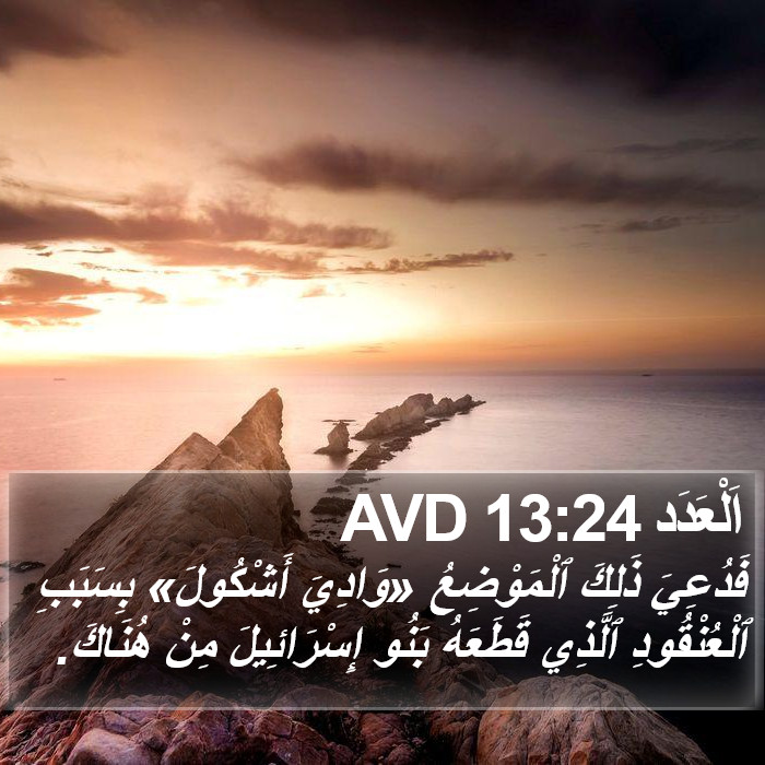 اَلْعَدَد 13:24 AVD Bible Study