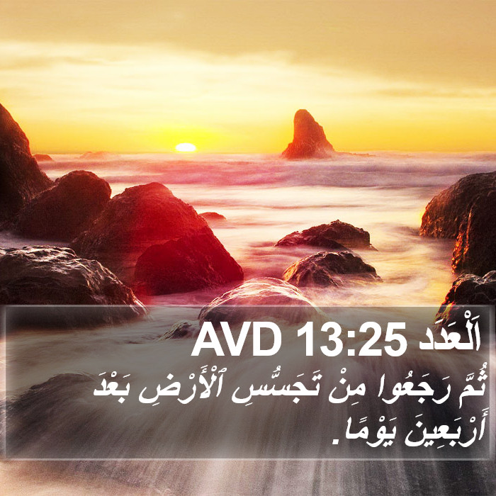 اَلْعَدَد 13:25 AVD Bible Study