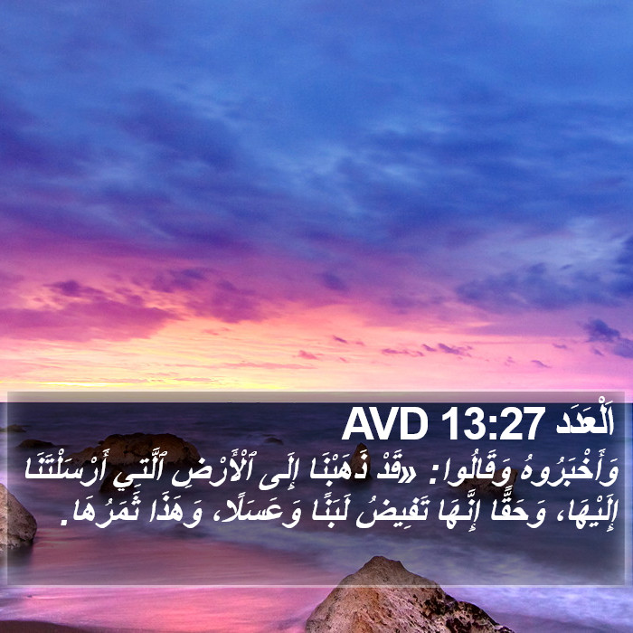 اَلْعَدَد 13:27 AVD Bible Study