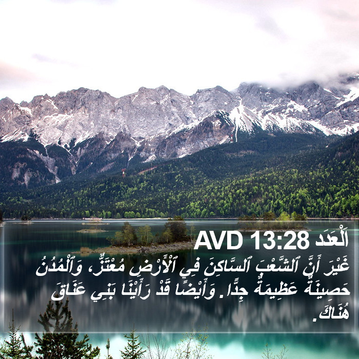 اَلْعَدَد 13:28 AVD Bible Study