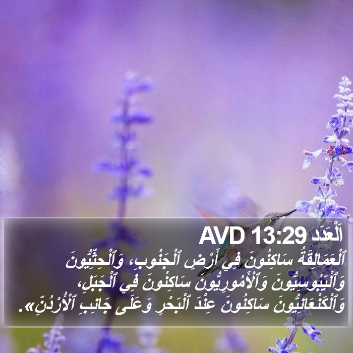 اَلْعَدَد 13:29 AVD Bible Study