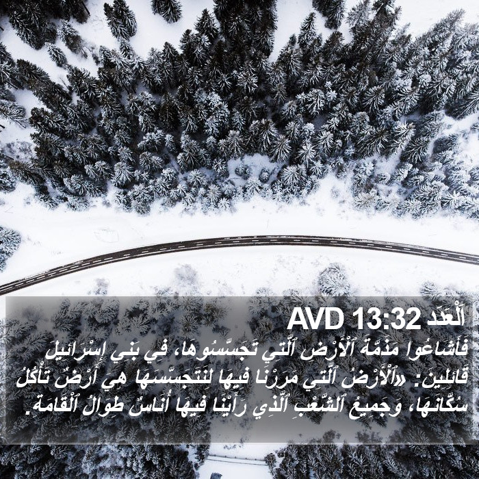 اَلْعَدَد 13:32 AVD Bible Study