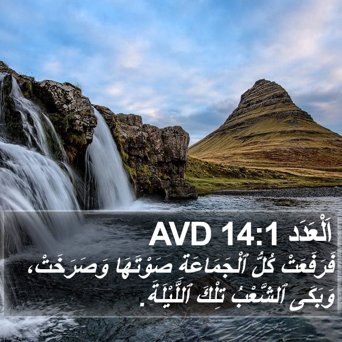 اَلْعَدَد 14:1 AVD Bible Study