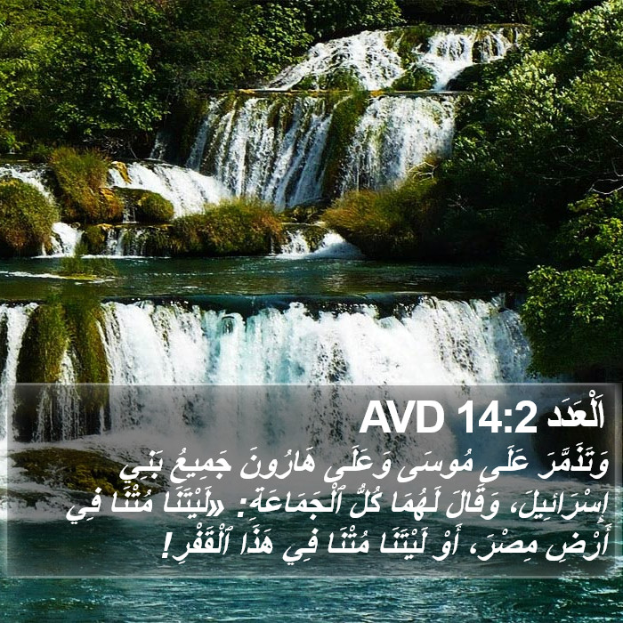 اَلْعَدَد 14:2 AVD Bible Study