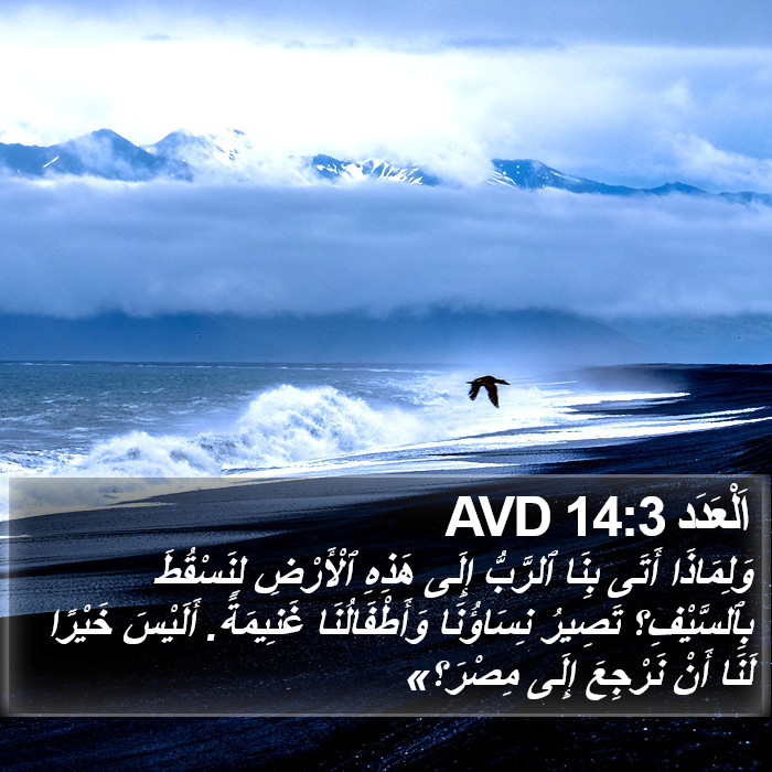 اَلْعَدَد 14:3 AVD Bible Study