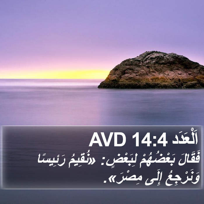 اَلْعَدَد 14:4 AVD Bible Study