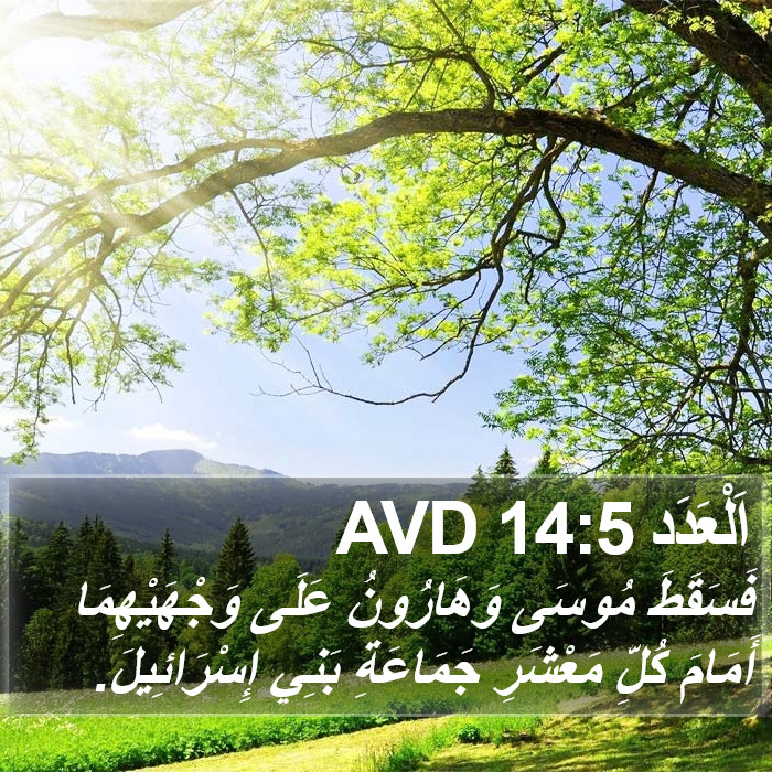 اَلْعَدَد 14:5 AVD Bible Study