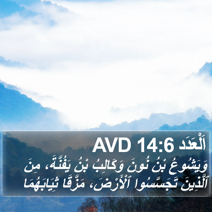 اَلْعَدَد 14:6 AVD Bible Study