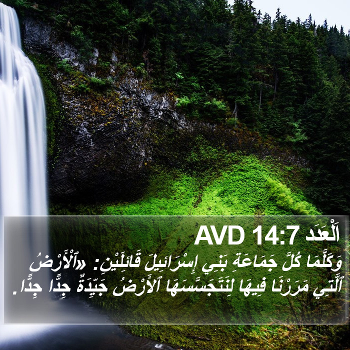 اَلْعَدَد 14:7 AVD Bible Study