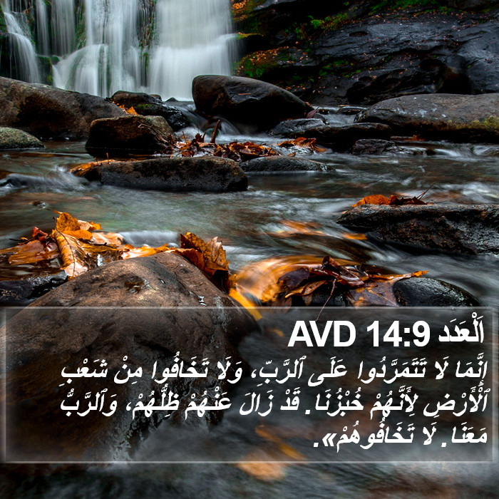 اَلْعَدَد 14:9 AVD Bible Study