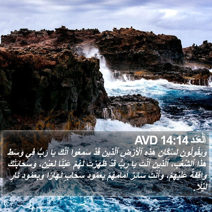 اَلْعَدَد 14:14 AVD Bible Study