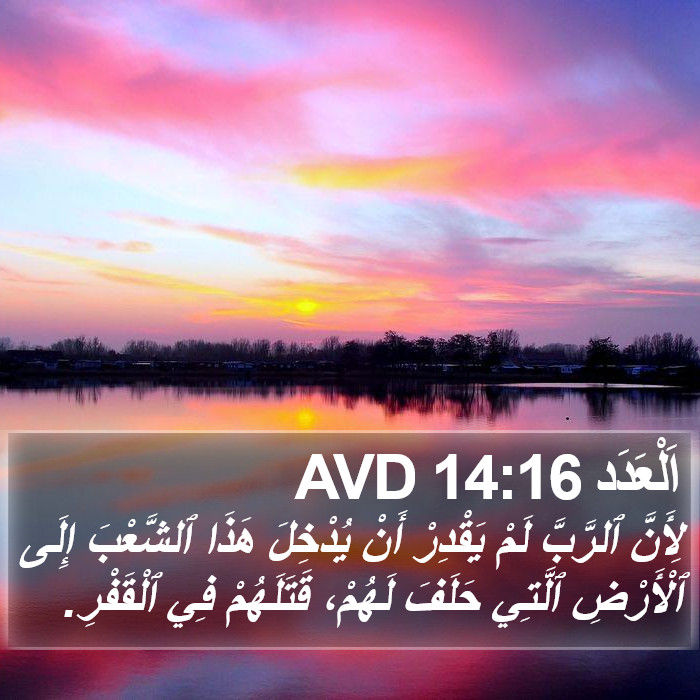 اَلْعَدَد 14:16 AVD Bible Study