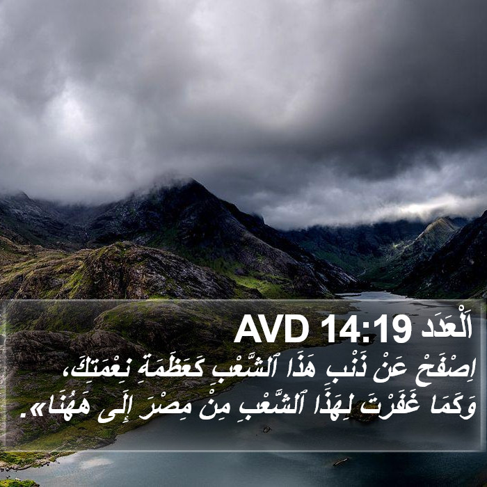 اَلْعَدَد 14:19 AVD Bible Study