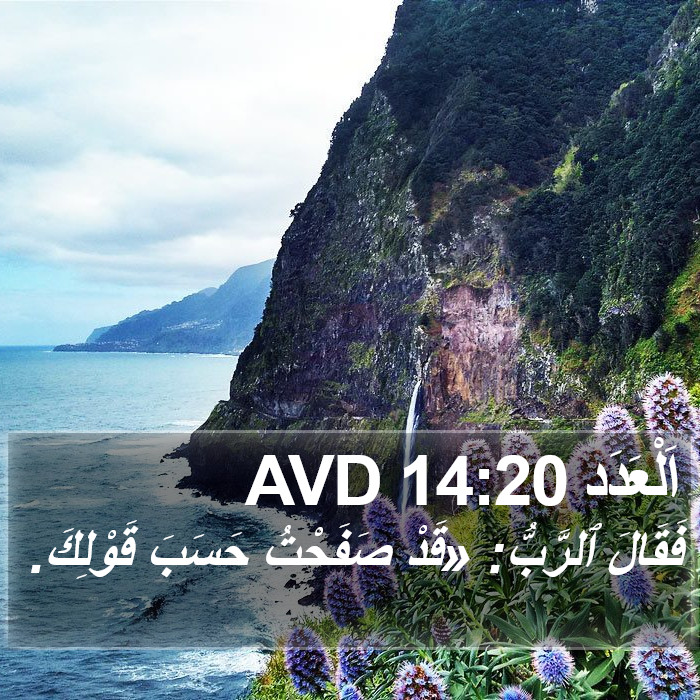 اَلْعَدَد 14:20 AVD Bible Study