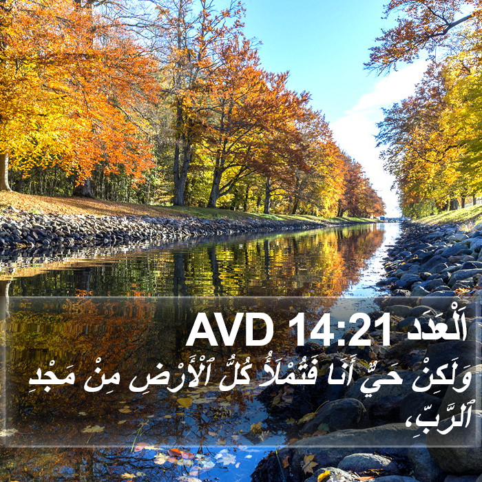 اَلْعَدَد 14:21 AVD Bible Study