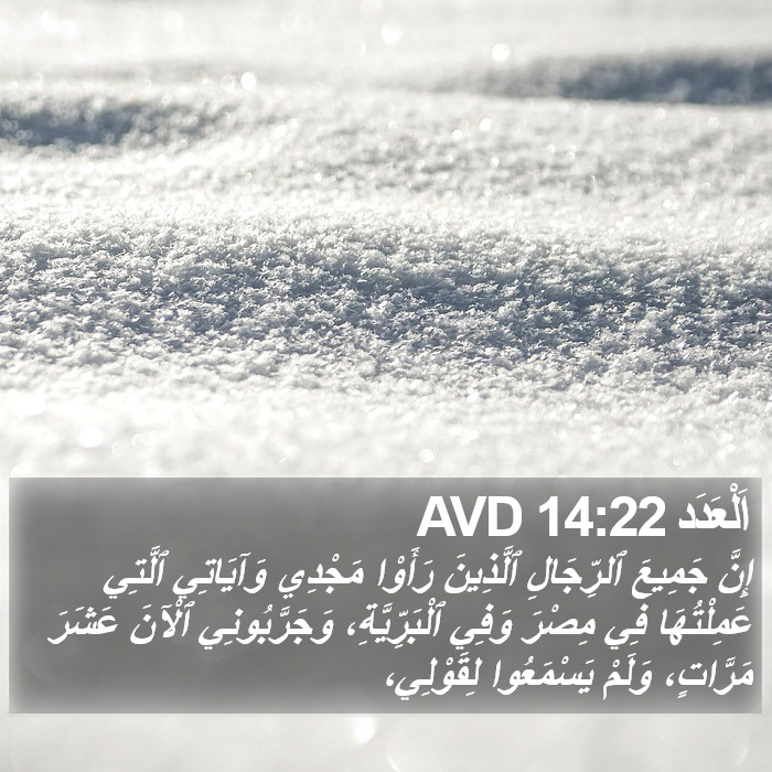 اَلْعَدَد 14:22 AVD Bible Study