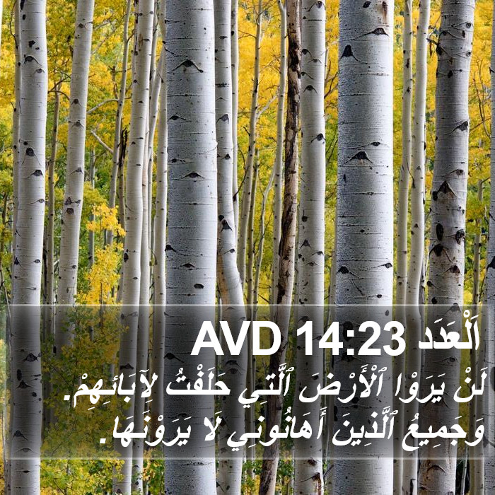 اَلْعَدَد 14:23 AVD Bible Study