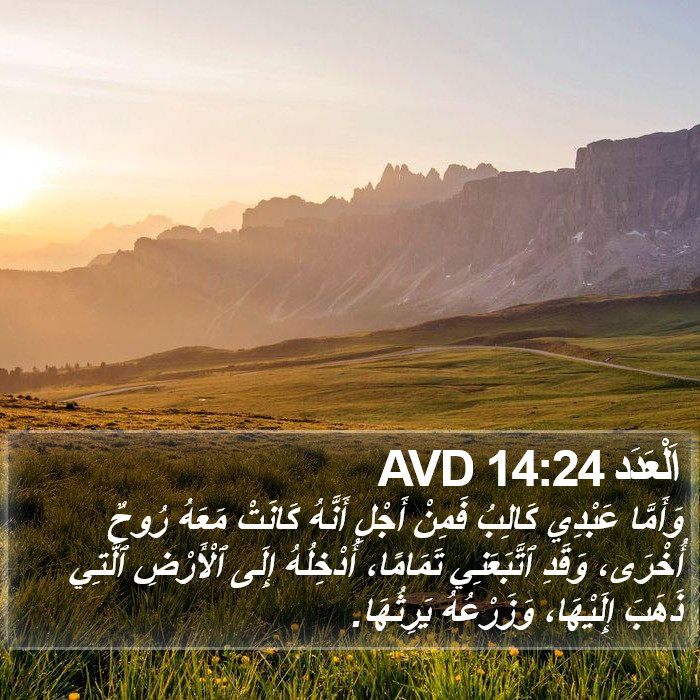 اَلْعَدَد 14:24 AVD Bible Study