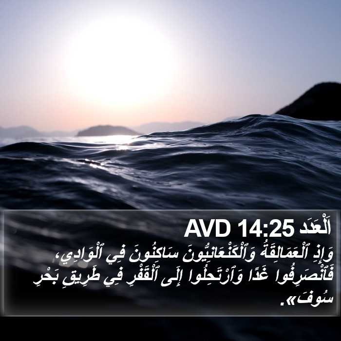 اَلْعَدَد 14:25 AVD Bible Study