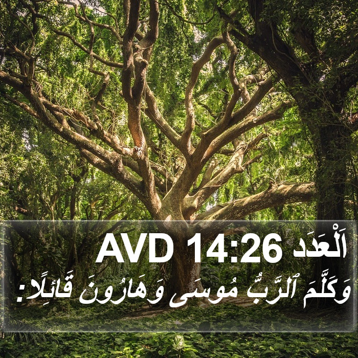 اَلْعَدَد 14:26 AVD Bible Study