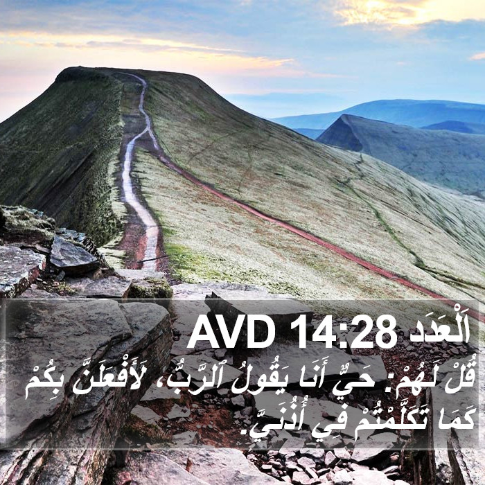 اَلْعَدَد 14:28 AVD Bible Study