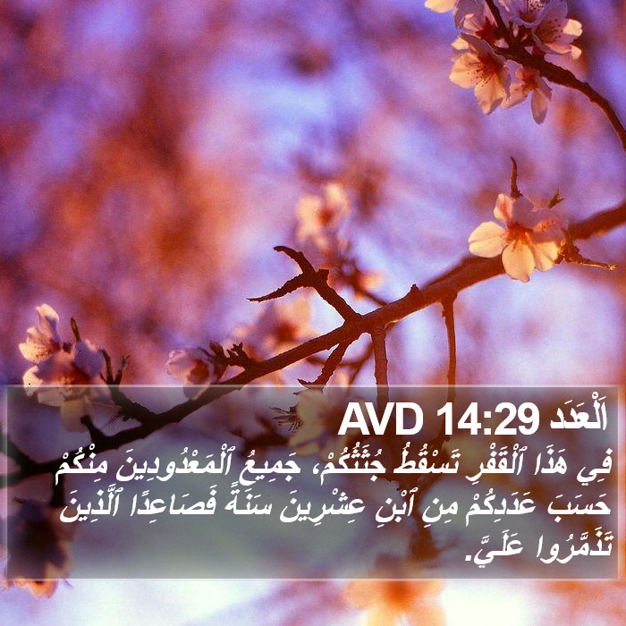 اَلْعَدَد 14:29 AVD Bible Study