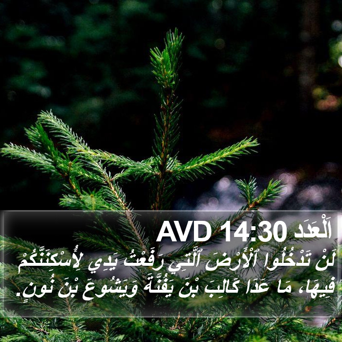 اَلْعَدَد 14:30 AVD Bible Study