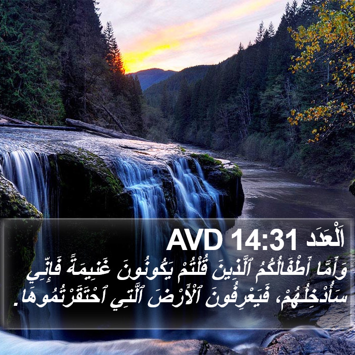 اَلْعَدَد 14:31 AVD Bible Study