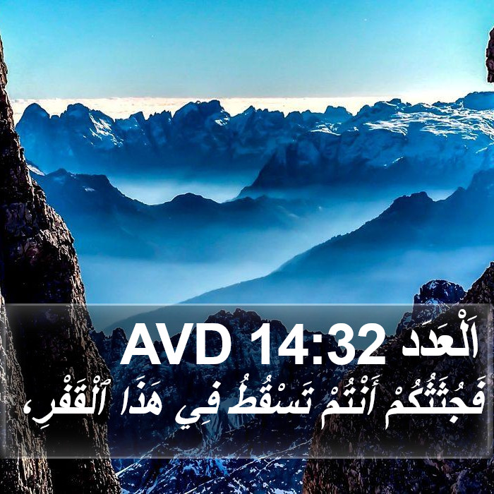 اَلْعَدَد 14:32 AVD Bible Study