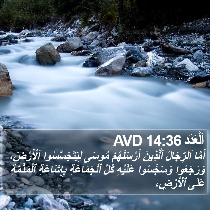 اَلْعَدَد 14:36 AVD Bible Study