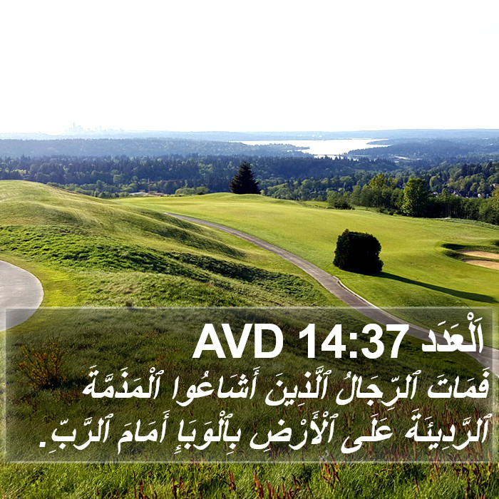 اَلْعَدَد 14:37 AVD Bible Study