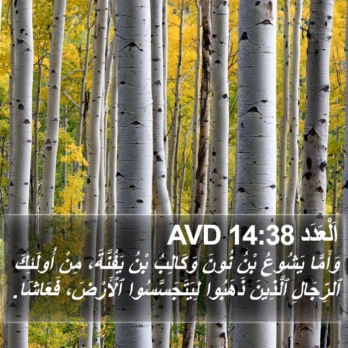 اَلْعَدَد 14:38 AVD Bible Study